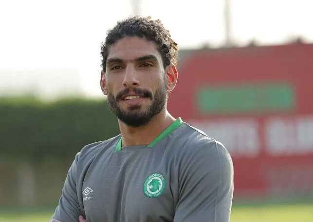 ضياء السيد