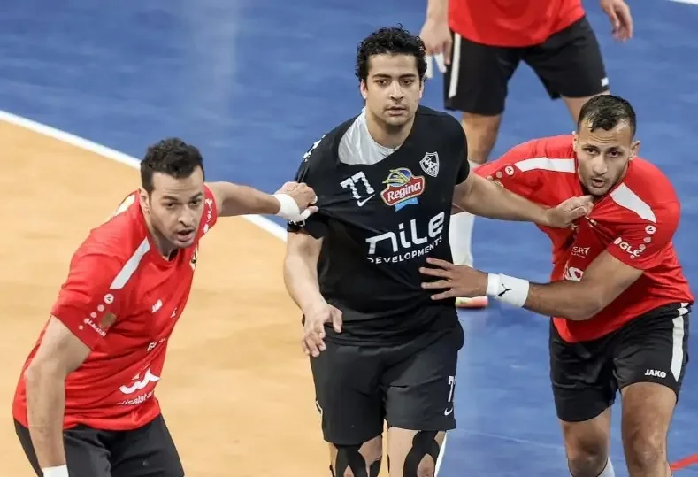 دوري المحترفين لكرة اليد
