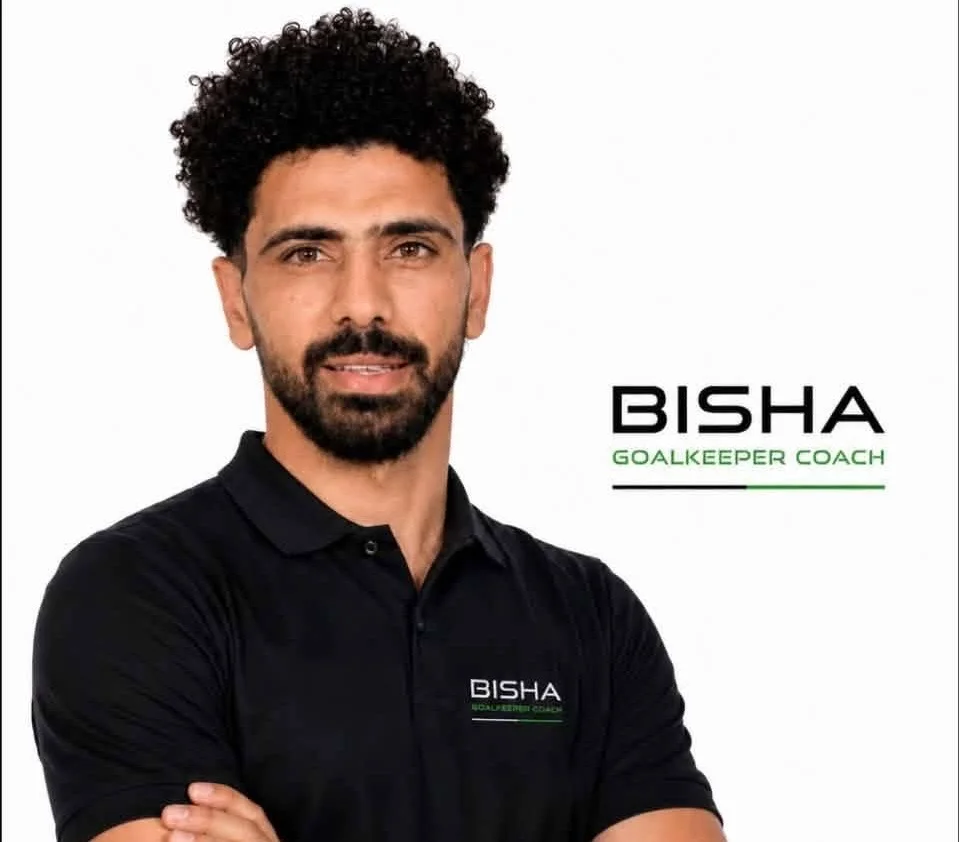 محمد البشبيشي
