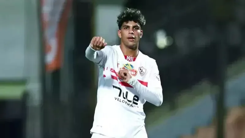 محمد السيد