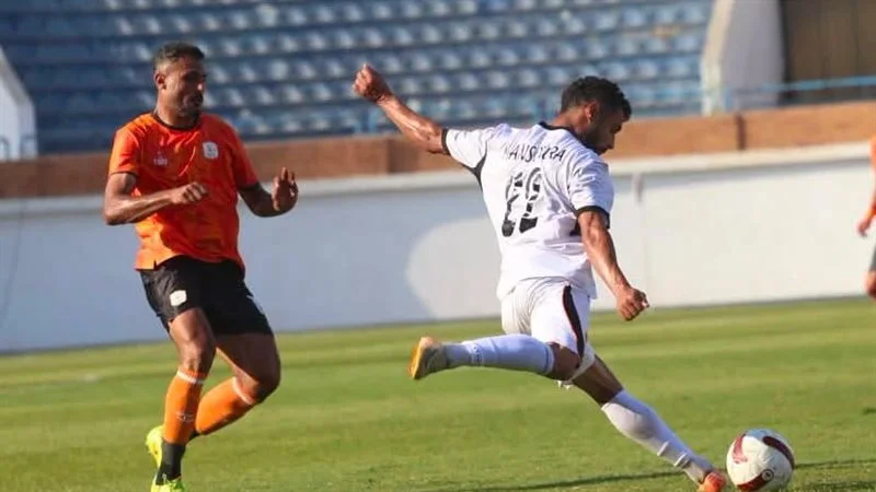 فاركو والمنصورة