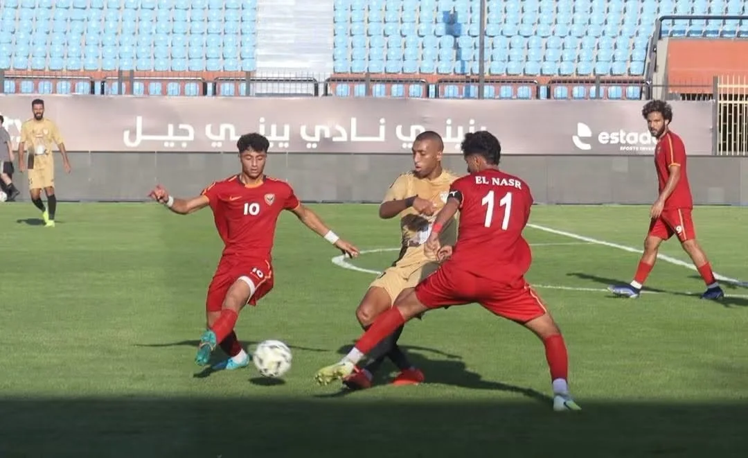 دورى المحترفين