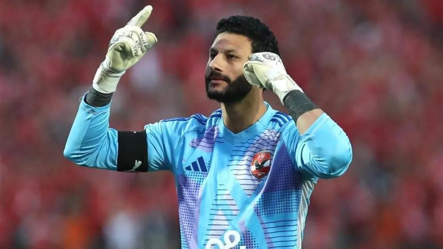 محمد الشناوى