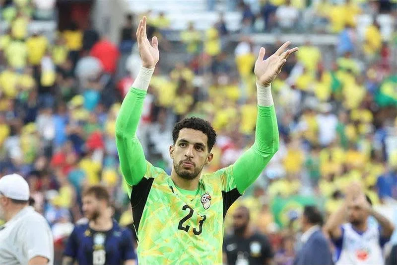 مصطفى شوبير