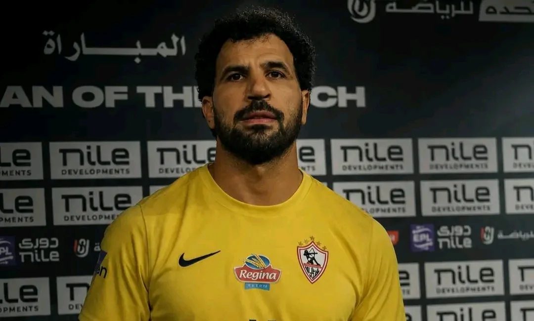 المهدي سليمان