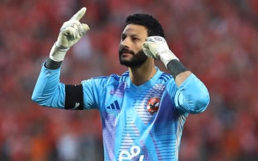 محمد الشناوى