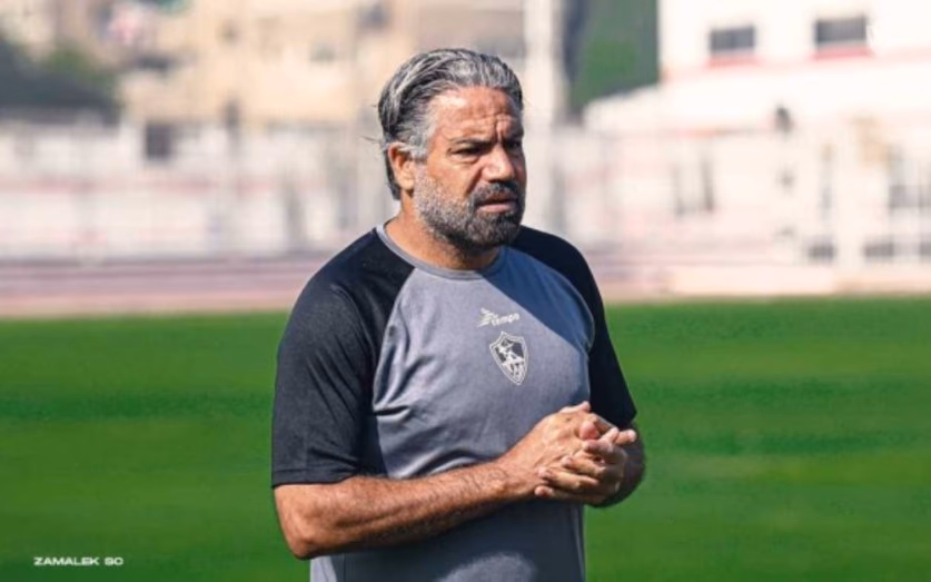 مدحت عبد الهادى