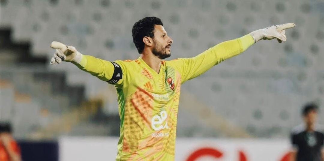 محمد الشناوي